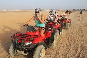 safari