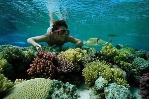 sharm